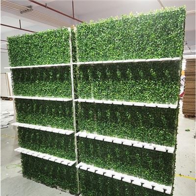 دیوار شامپاین چمنی