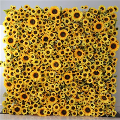 دیوار پس زمینه آفتابگردان