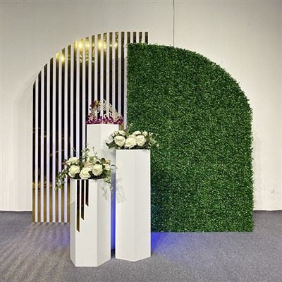 قاب دمی آرک