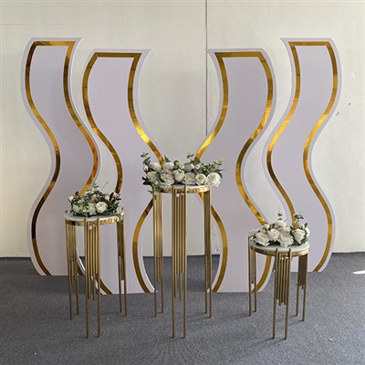 صحنه پس زمینه عروسی