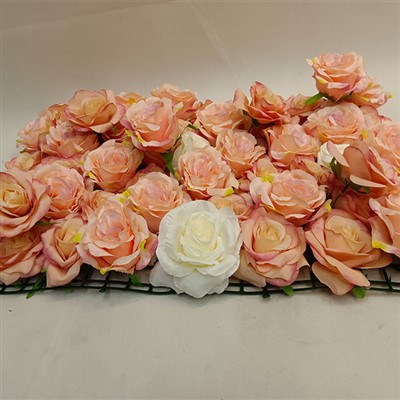 گل آرایی دیوار