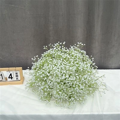 دستگاه های مرکزی گچی